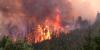 Wildfire 