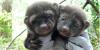 Two young fisher.
