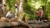 Wildlife biologist being filmed standing in a stream
