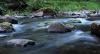 a stream