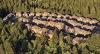 a suburb in a forest