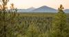 Black Butte