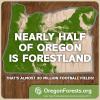 Meme Half Forest 