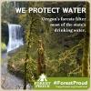 We PROTECT WATER