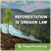 Meme Reforestation