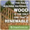 Meme Wood Renew