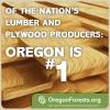 Meme Lumber Leader