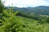 Landscape diversity in a western Douglas-fir working forest 