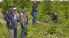 people in forest