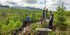 Setting up the timelapse cameras in a clearcut